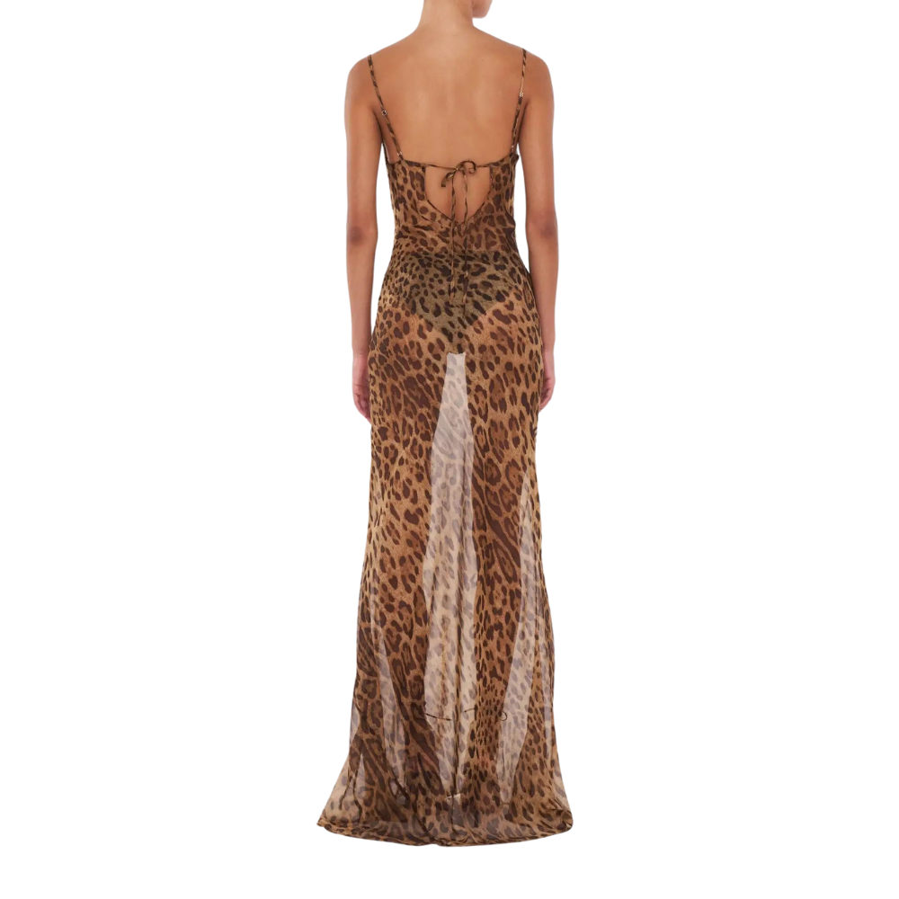 Lionel Kleid - transparent