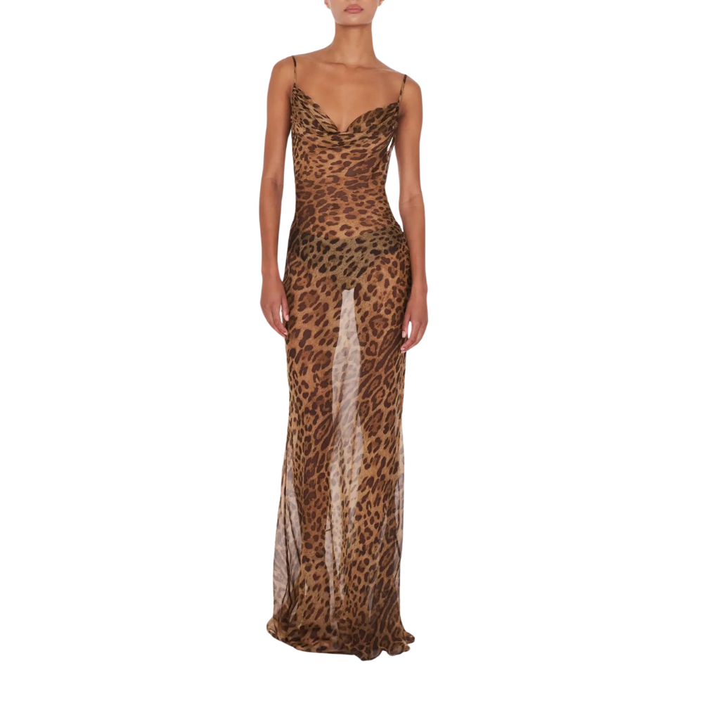 Lionel Kleid - transparent